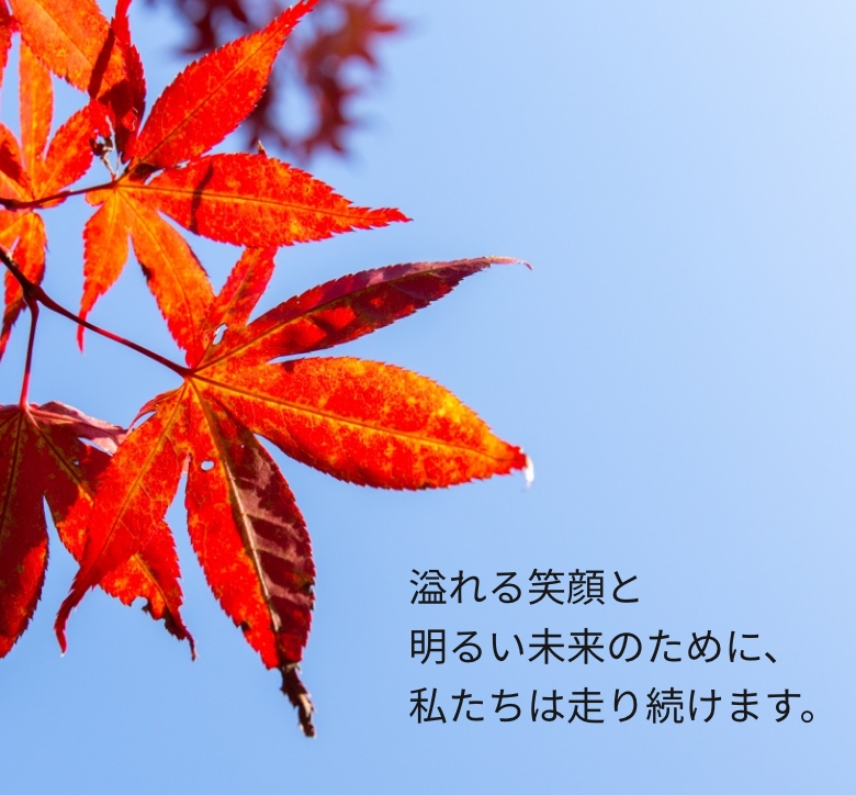 美しい紅葉の画像